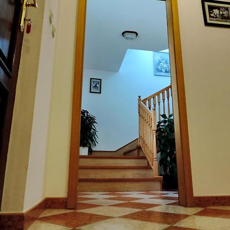 Apartment Peric Zadar Exterior photo